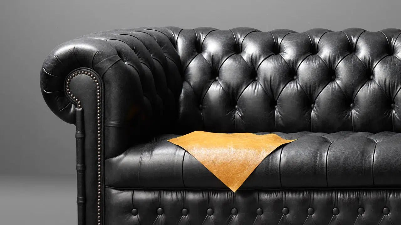 Studio Hamilton Chesterfield
