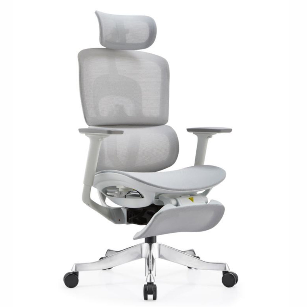 Director Chair - Destiny