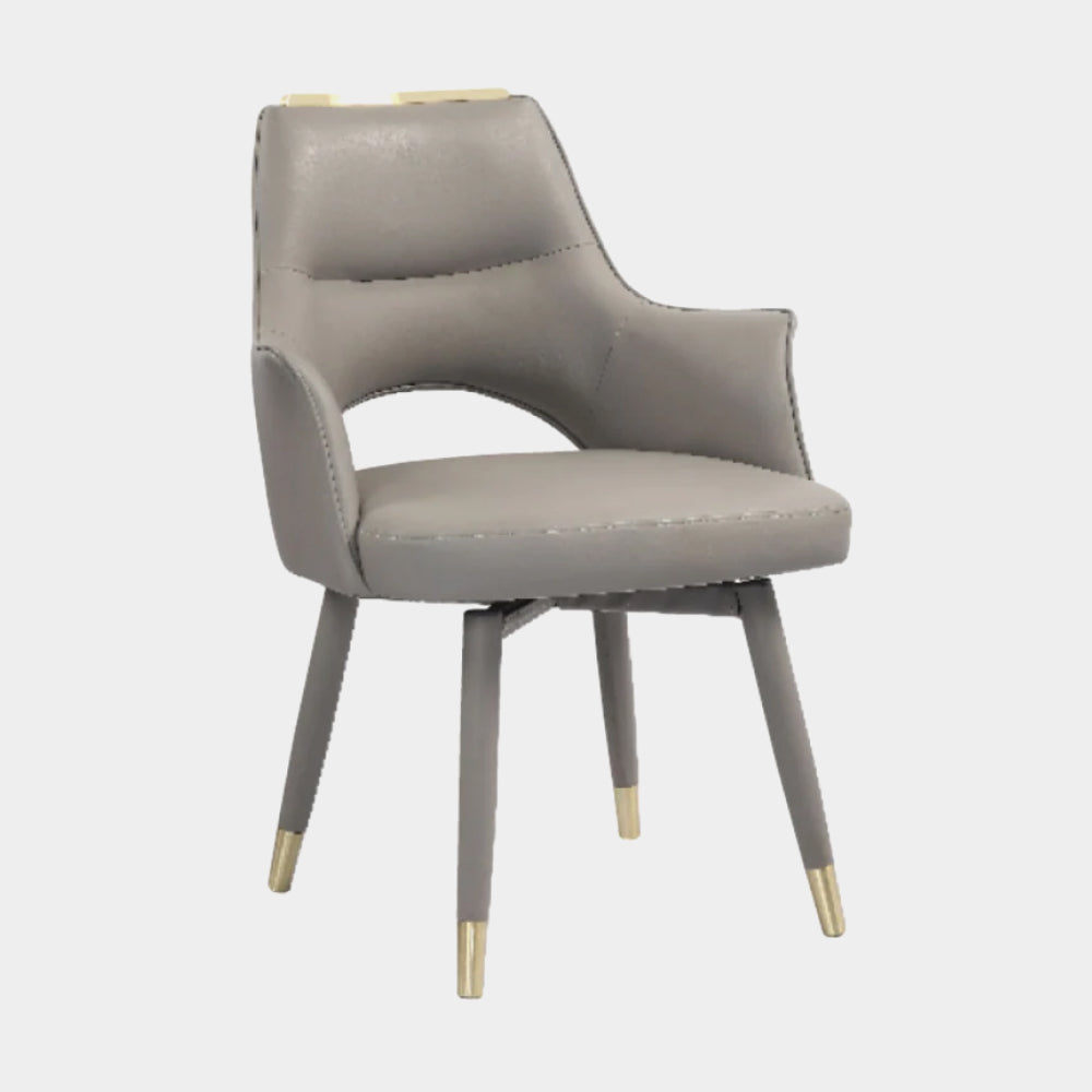 Dining Chairs HDC-39