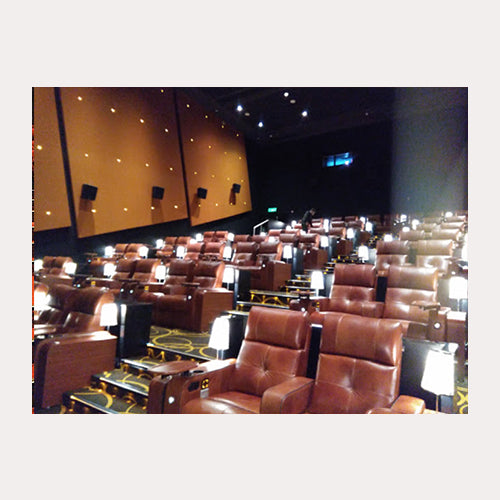 Multiplex Recliner MXR-007