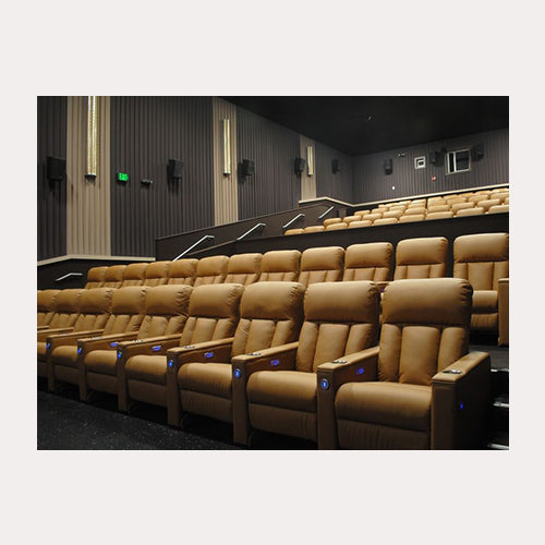Multiplex Recliner MXR-023