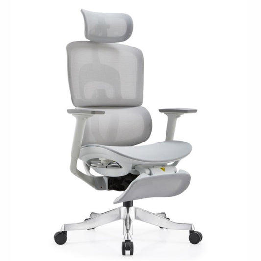 Director Chair - Destiny