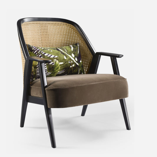 Cane Arm Chairs CAC-15