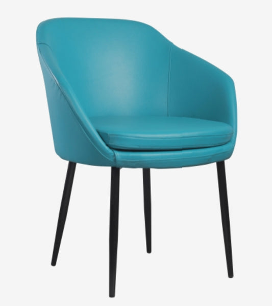 Lounge Chairs HLC-49