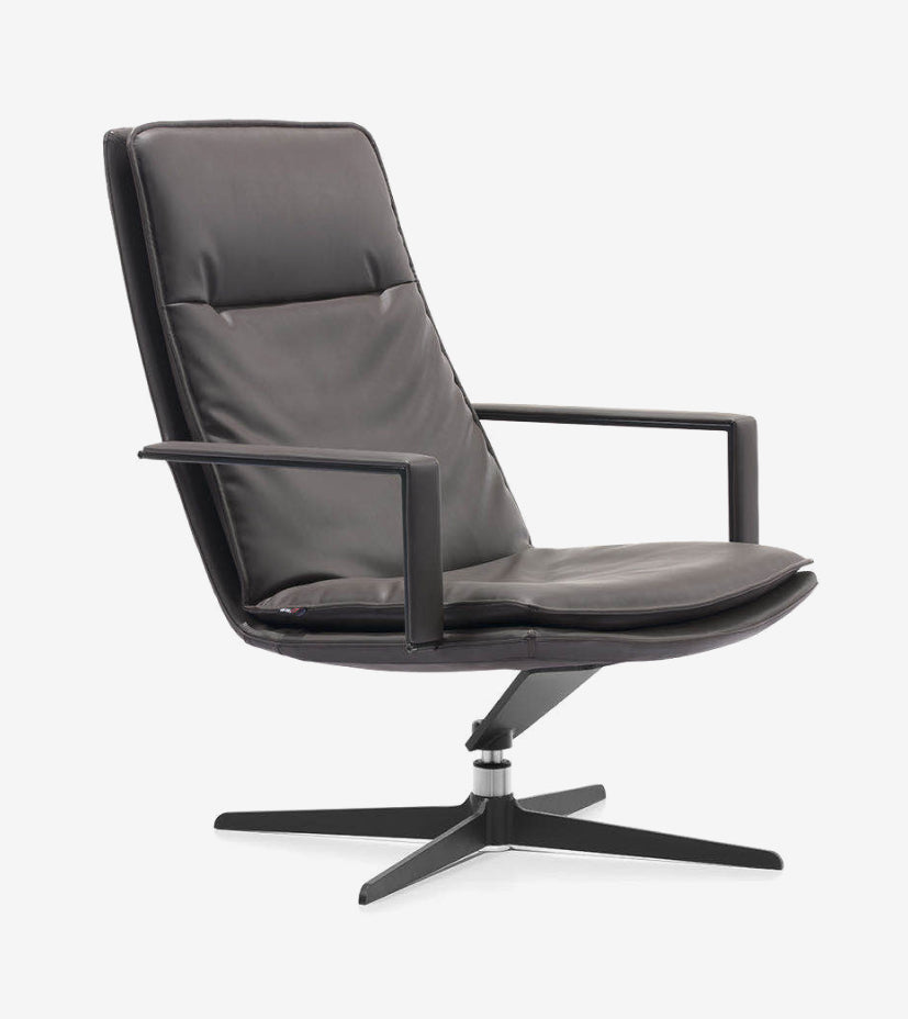 Lounge Chairs HLC-1