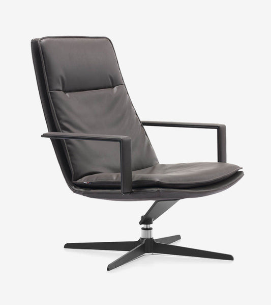 Lounge Chairs HLC-1