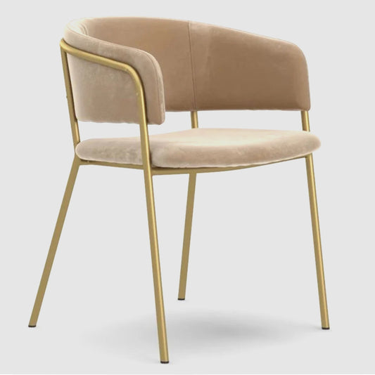 Dining Chairs HDC-96