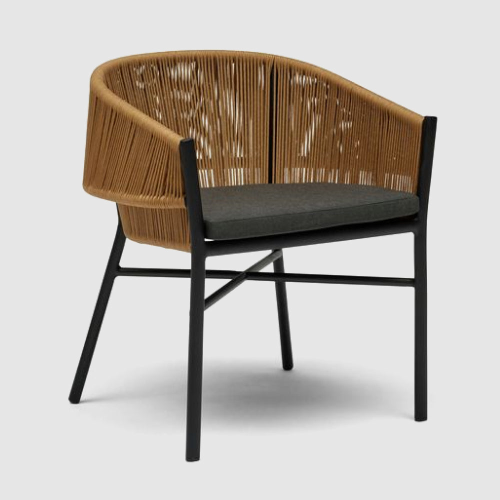 Dining Chairs HDC-83