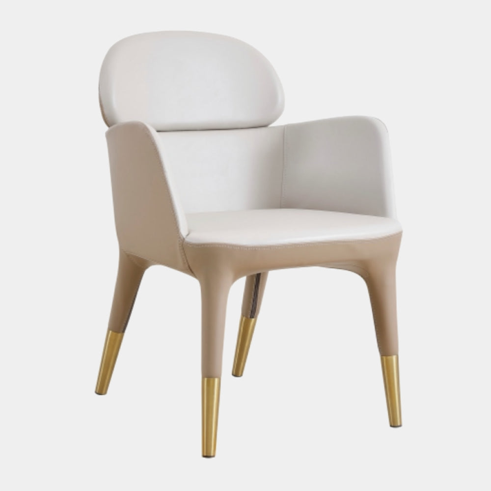 Dining Chairs HDC-17