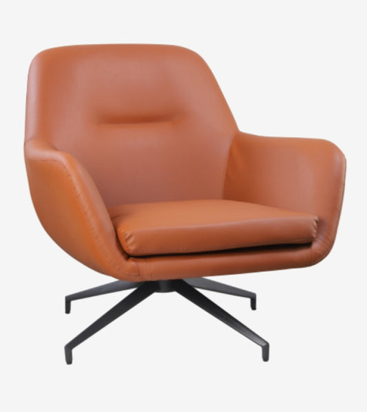Lounge Chairs HLC-25