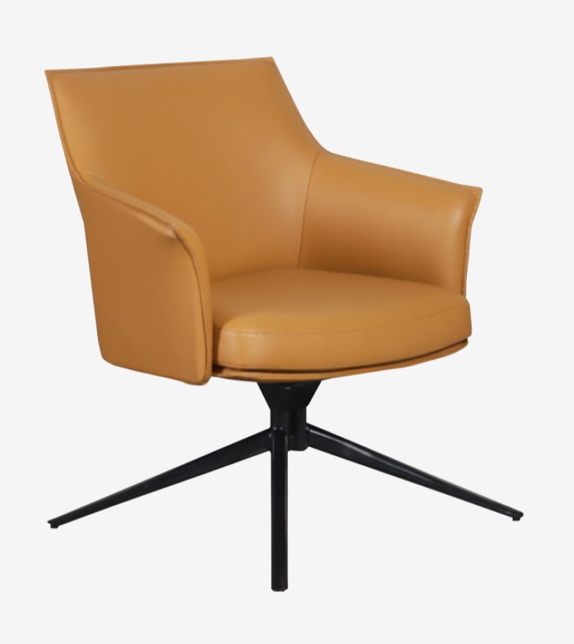 Lounge Chairs HLC-20