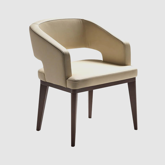 Dining Chairs HDC-66