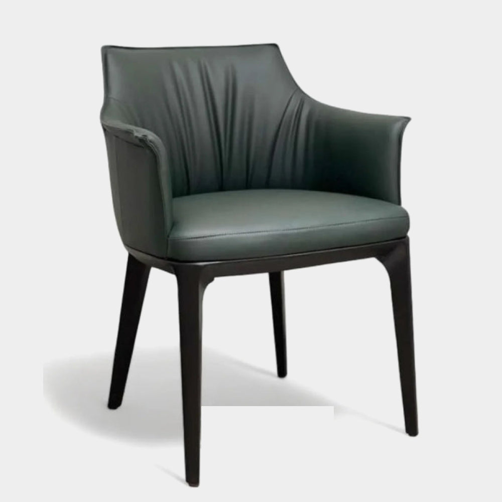 Dining Chairs HDC-19