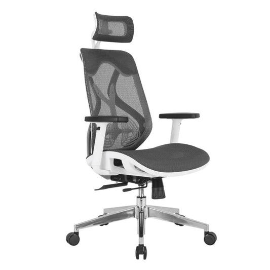 Director Chair - Ergon Mesh White