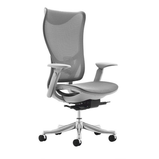 Director Chair - Flamingo