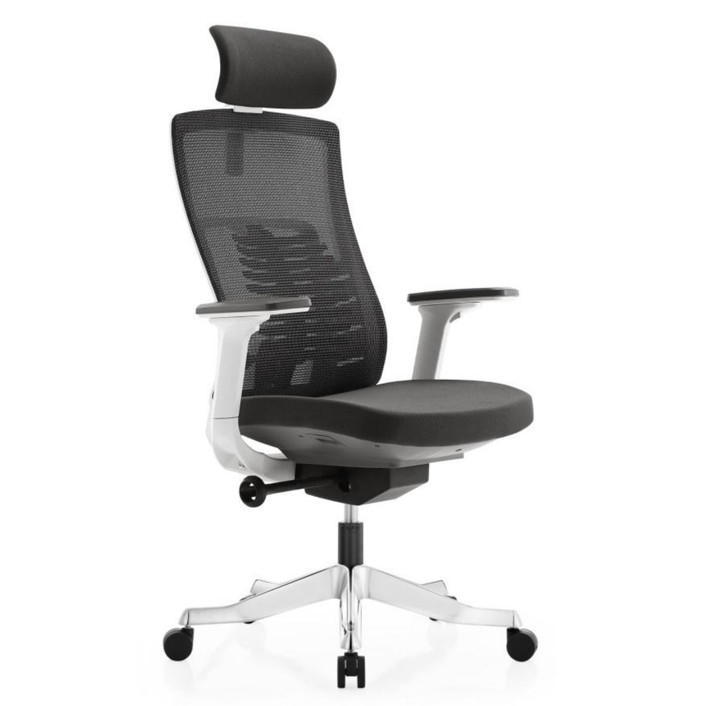 Director Chair - Spine Cush