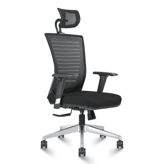 Director Chair - Vino-H-B-Max